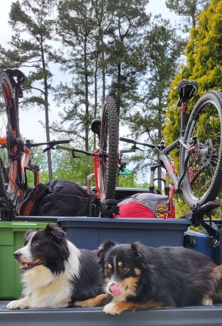 BIG DOGS JEEP.jpg