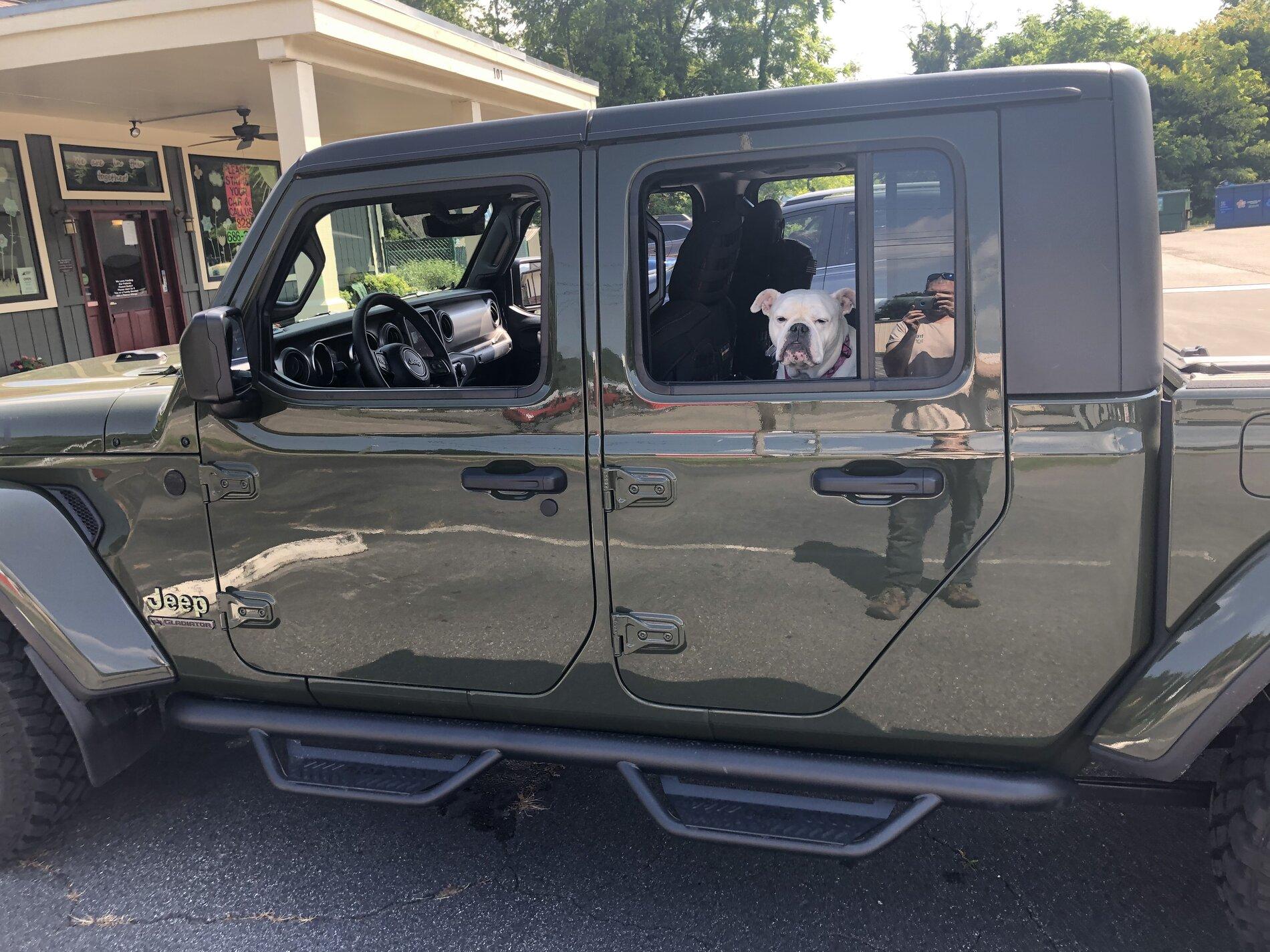 Jeep Gladiator Gladiator Dogs DF9745B5-1708-444B-8CFF-60FAF828FD86