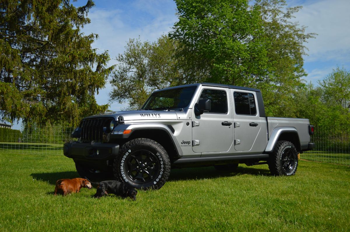 Jeep Gladiator Show me your furry Co-Pilots. JT1895