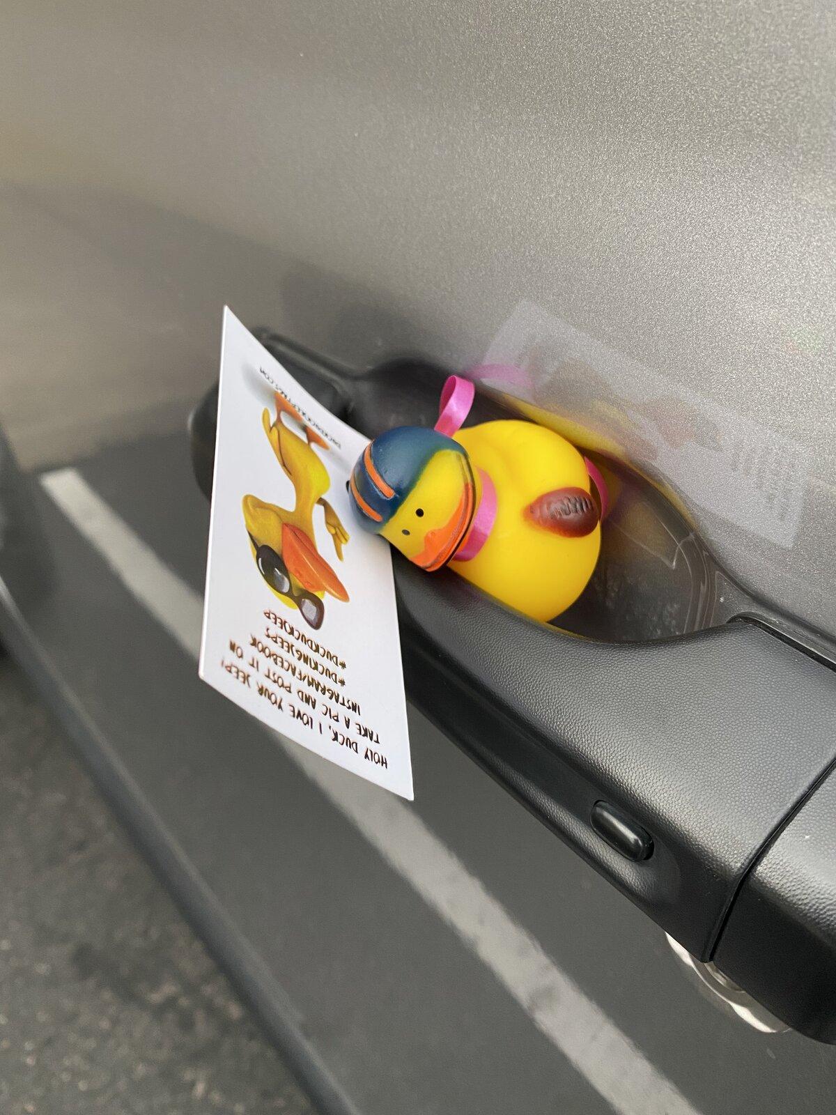 Jeep Gladiator Get a duck yet? B675B635-0444-4BDE-B711-B1F63417E770