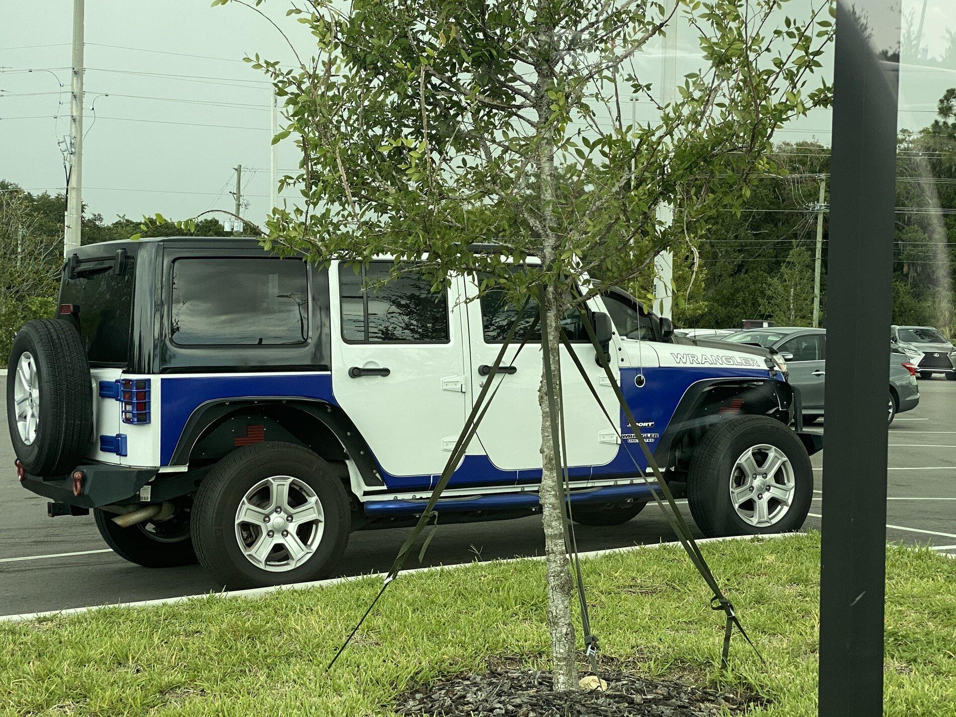 Jeep Gladiator "Accent color" trend? 99A22B4C-6CA8-456B-B522-9F081EBFF6F2