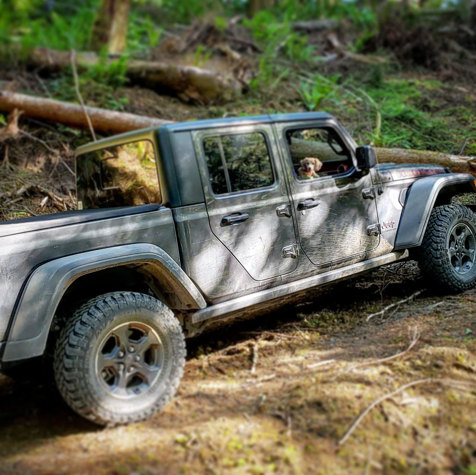 Jeep Gladiator Gladiator Dogs IMG_20210620_183618_260
