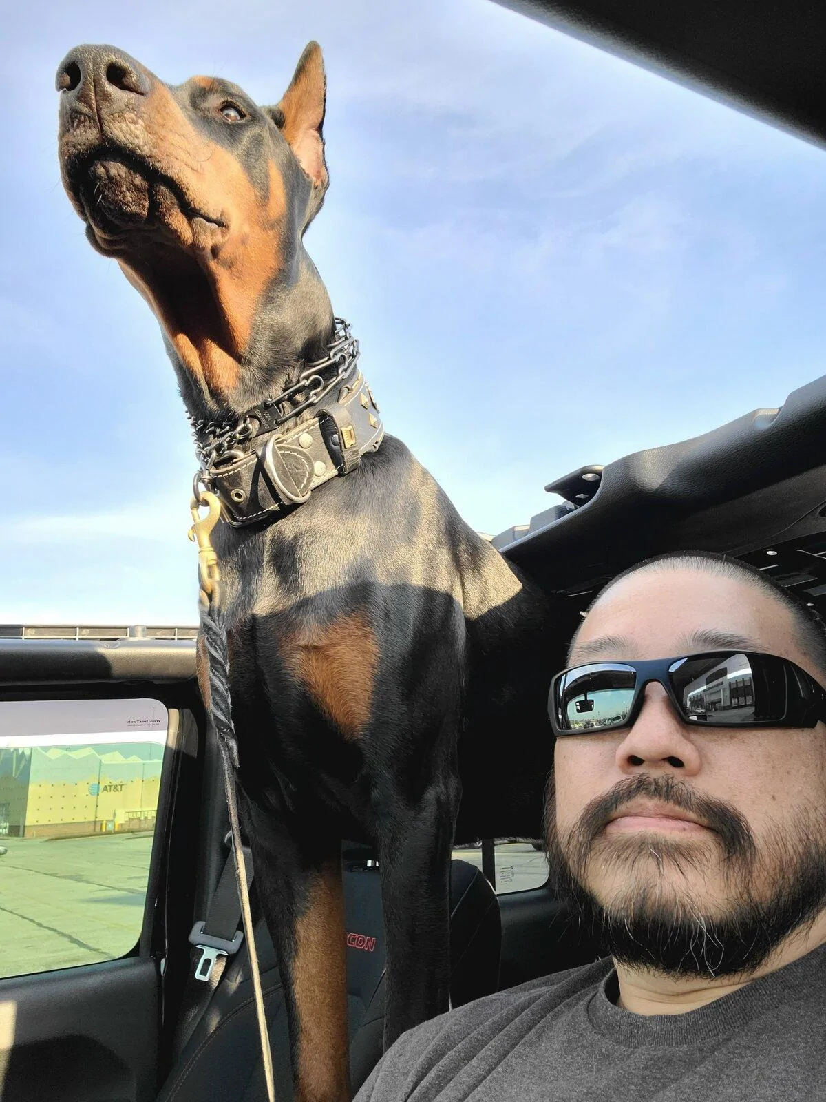Jeep Gladiator Gladiator Dogs 20210406_182647