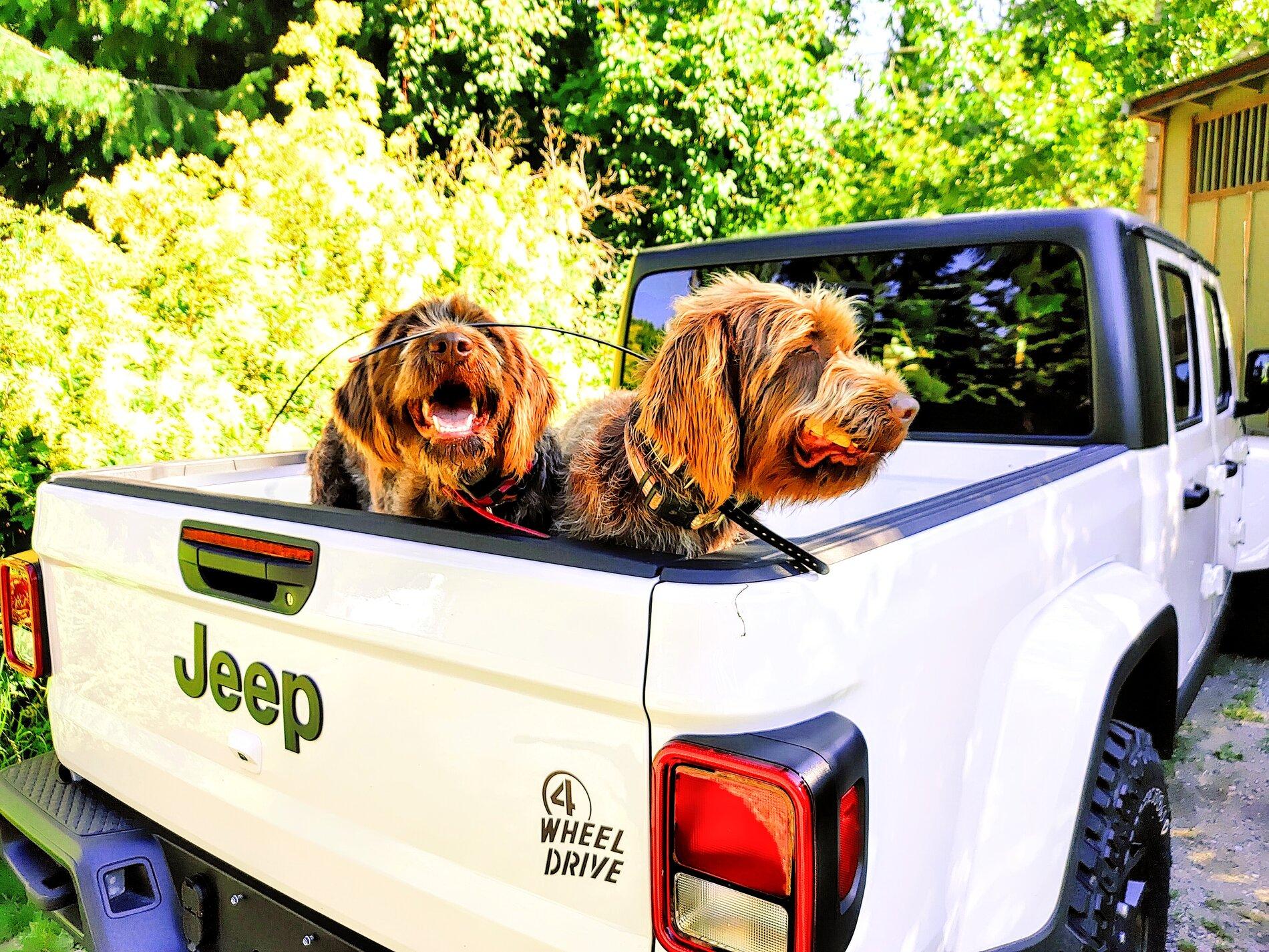 Jeep Gladiator So what did you name your Gladiator? 0625210822c