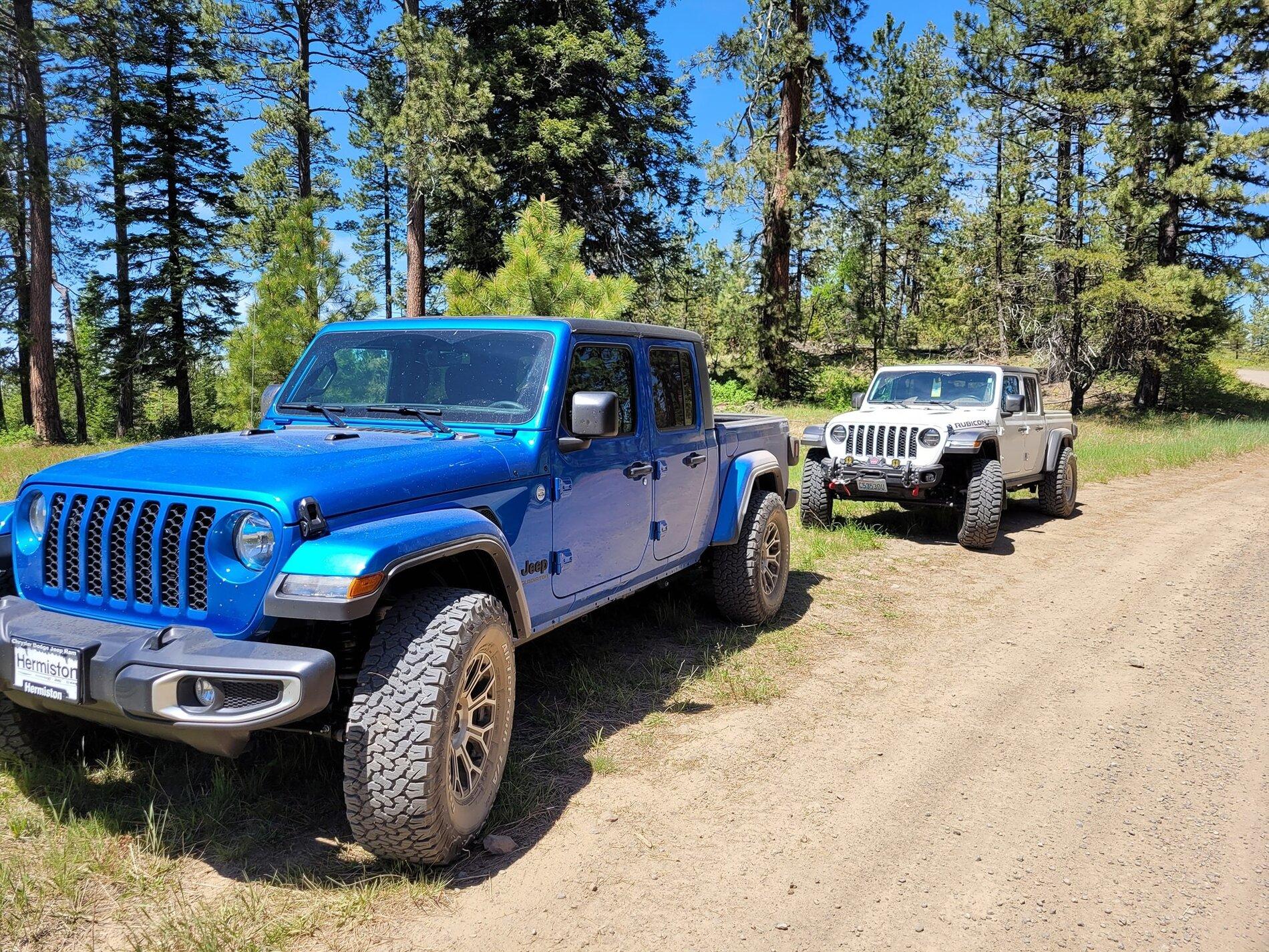 Jeep Gladiator 1.5 level or mopar lift with 35’s? last resort shroom