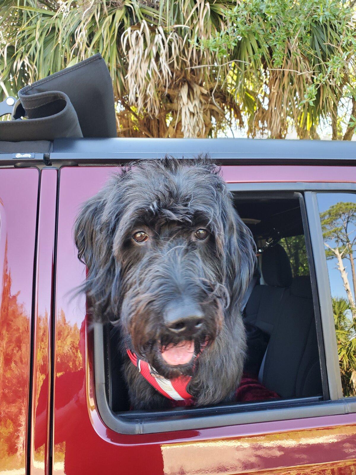 Jeep Gladiator Has anyone "doggified" their entire rear section? 20210515_173617