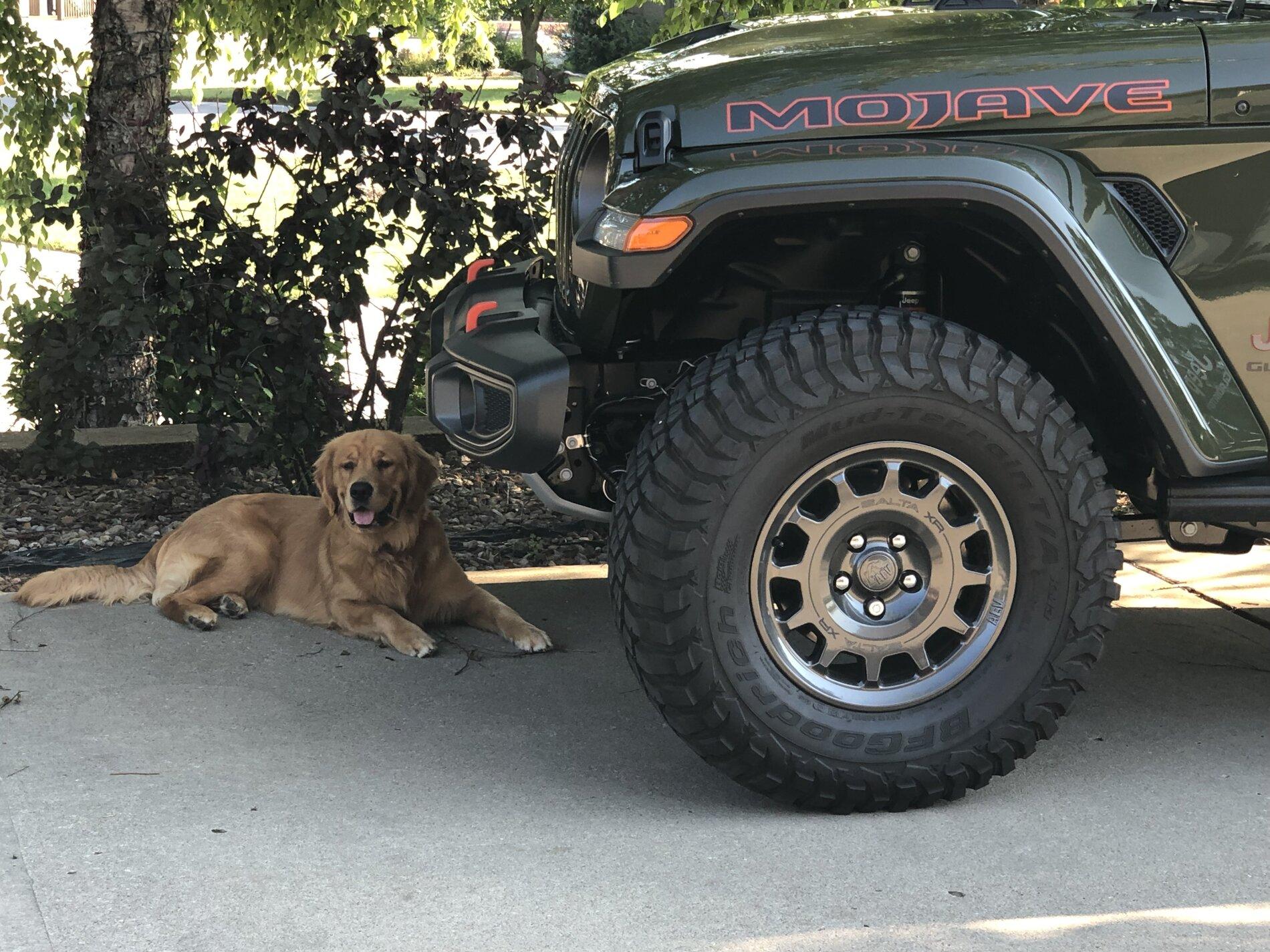 Jeep Gladiator MOJAVE Edition Gladiator JT Club F8BD9AAE-3637-4AB6-A91E-0B34B65DDA85
