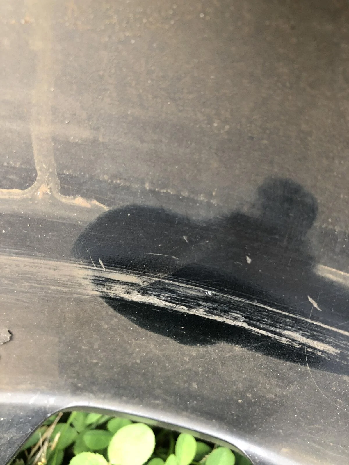 Jeep Gladiator No Pads To Be Found??? 88B8F177-58CE-4194-A93A-F14FEF037278