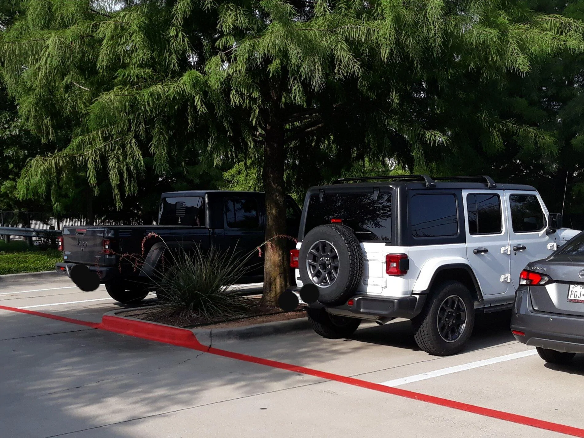 Jeep Gladiator Jeeps Parking Next To Jeeps 20210717_092625