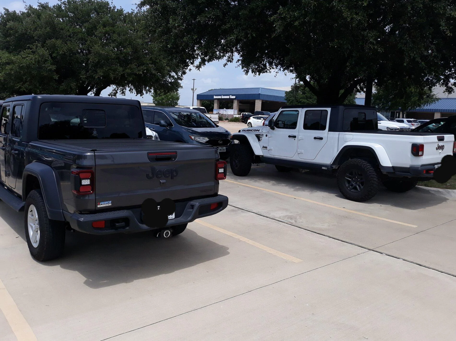 Jeep Gladiator Jeeps Parking Next To Jeeps 20210717_162525