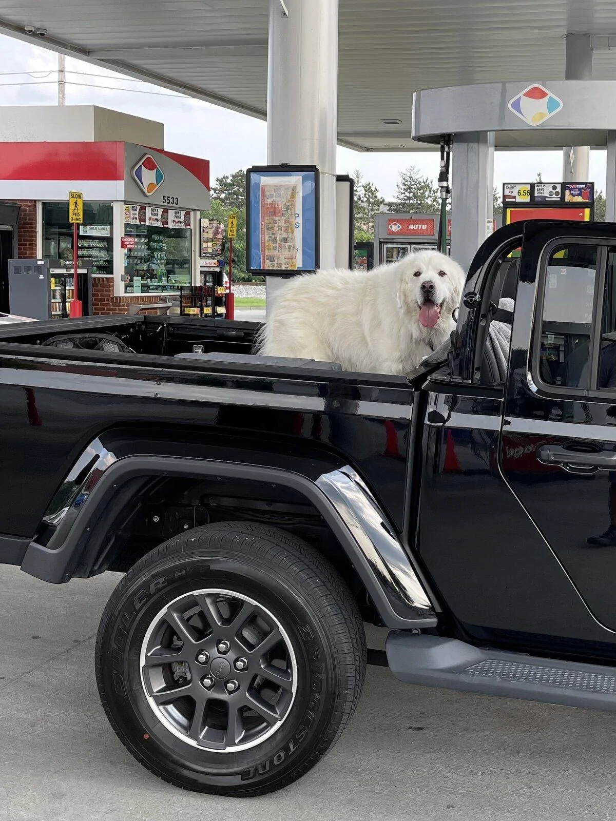 Jeep Gladiator What did you HAUL in your JT today? B2F9A6ED-C050-4564-99E7-3BCBE89F05C1