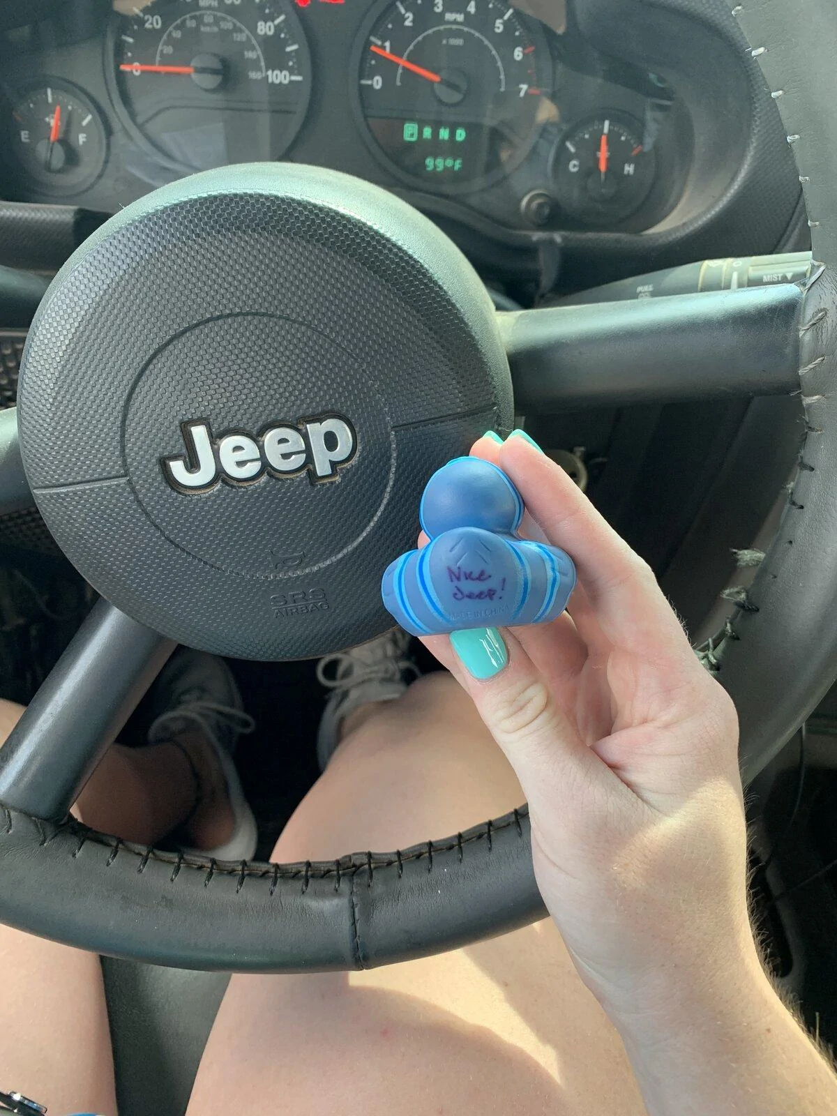 Jeep Gladiator Get a duck yet? FE12C6F6-0AC9-43A9-9844-9AA31FAC05DD