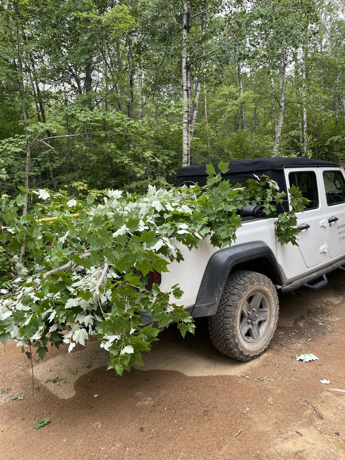 Jeep Gladiator What did you HAUL in your JT today? 06F9C818-74FC-4E8C-BEFF-02AB5C499D92