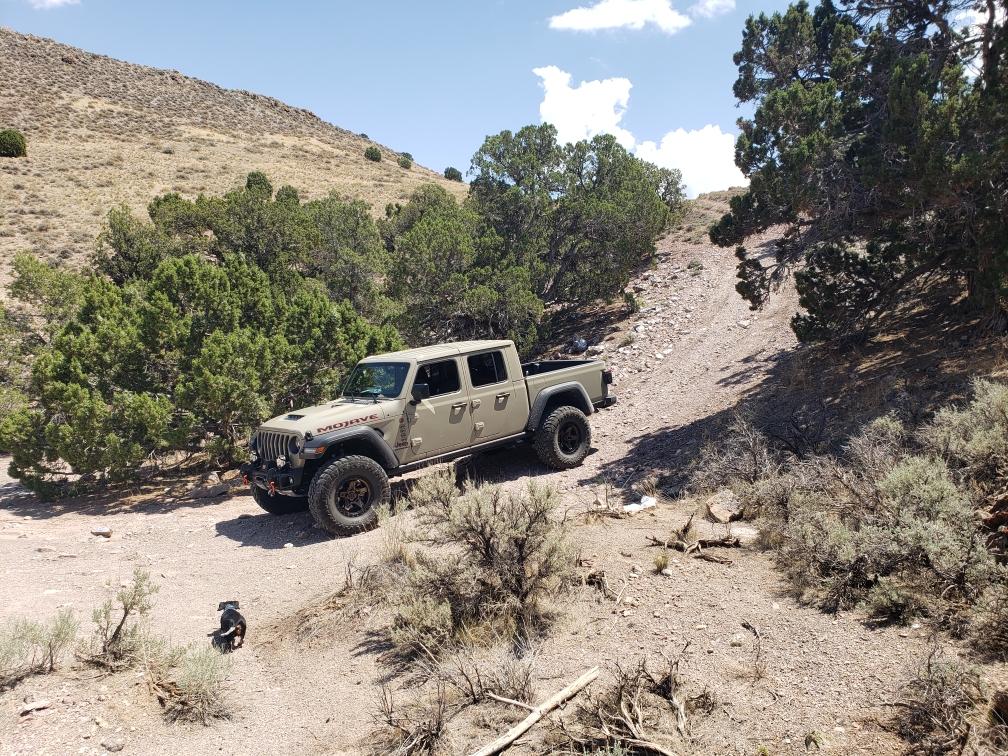 Jeep Gladiator Where did you WHEEL your Gladiator today? 7-23-21 Geod