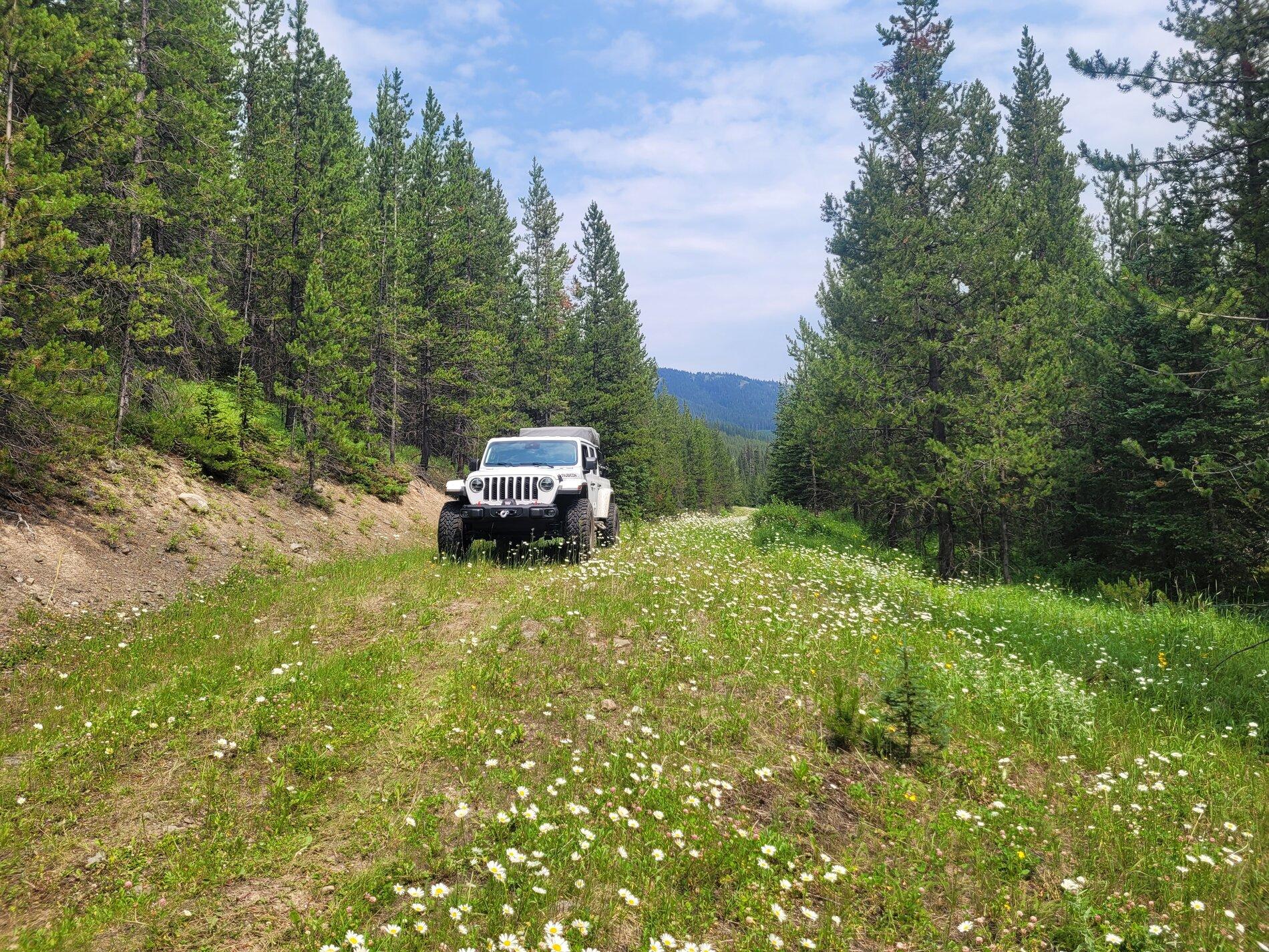 Jeep Gladiator Went camping this week 20210721_140407