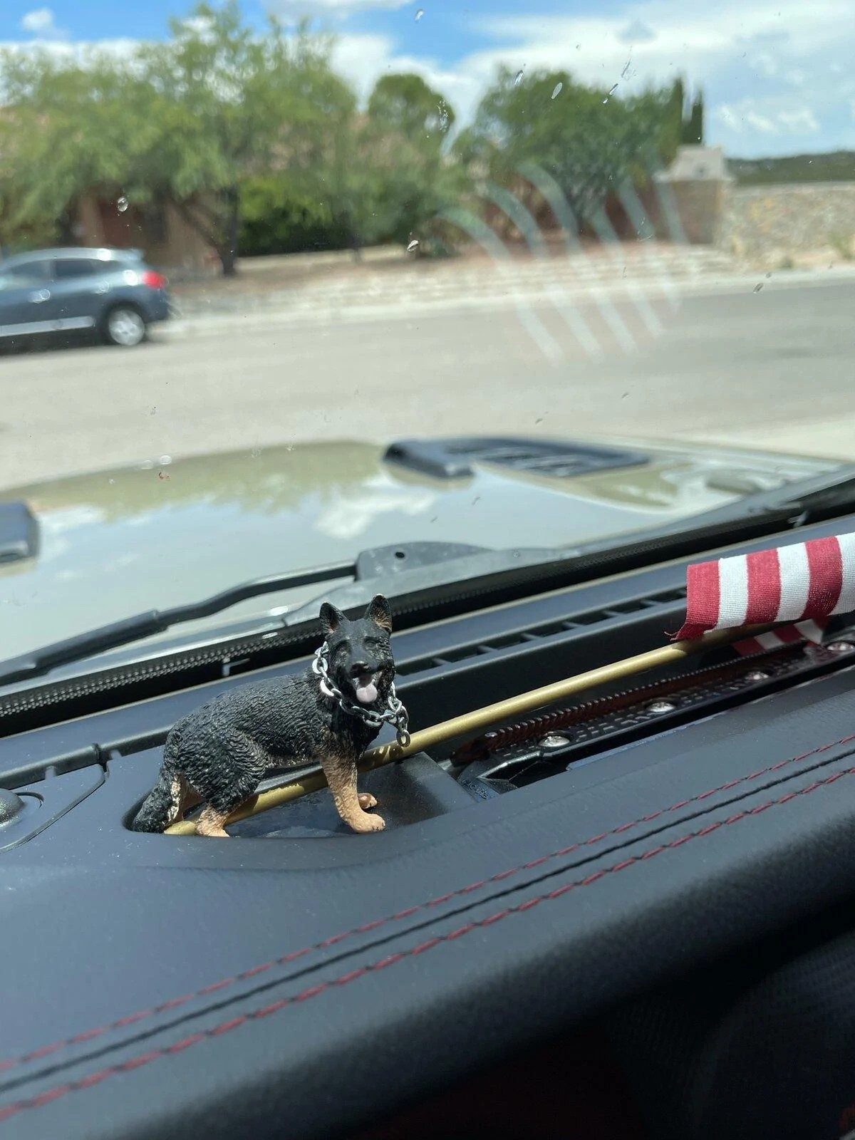 Jeep Gladiator Show me your furry Co-Pilots. 425A343A-50E9-4FA4-82AB-C738A34CB73E