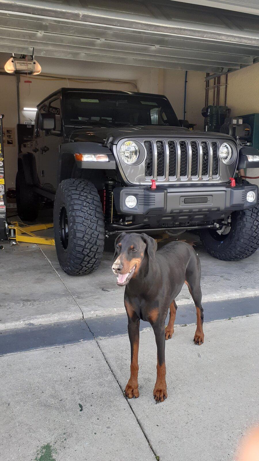 lifted1.jpg