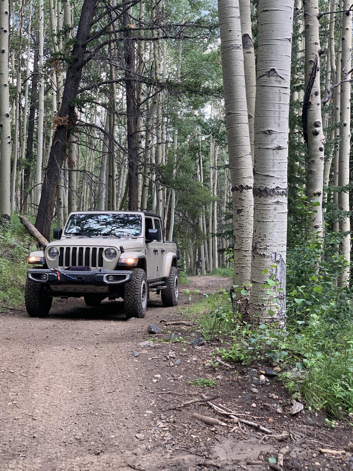 Jeep Gladiator Mild Sport S Build (AEV parts) 4525A935-8F1A-456A-A75F-B62BBF6C39B3