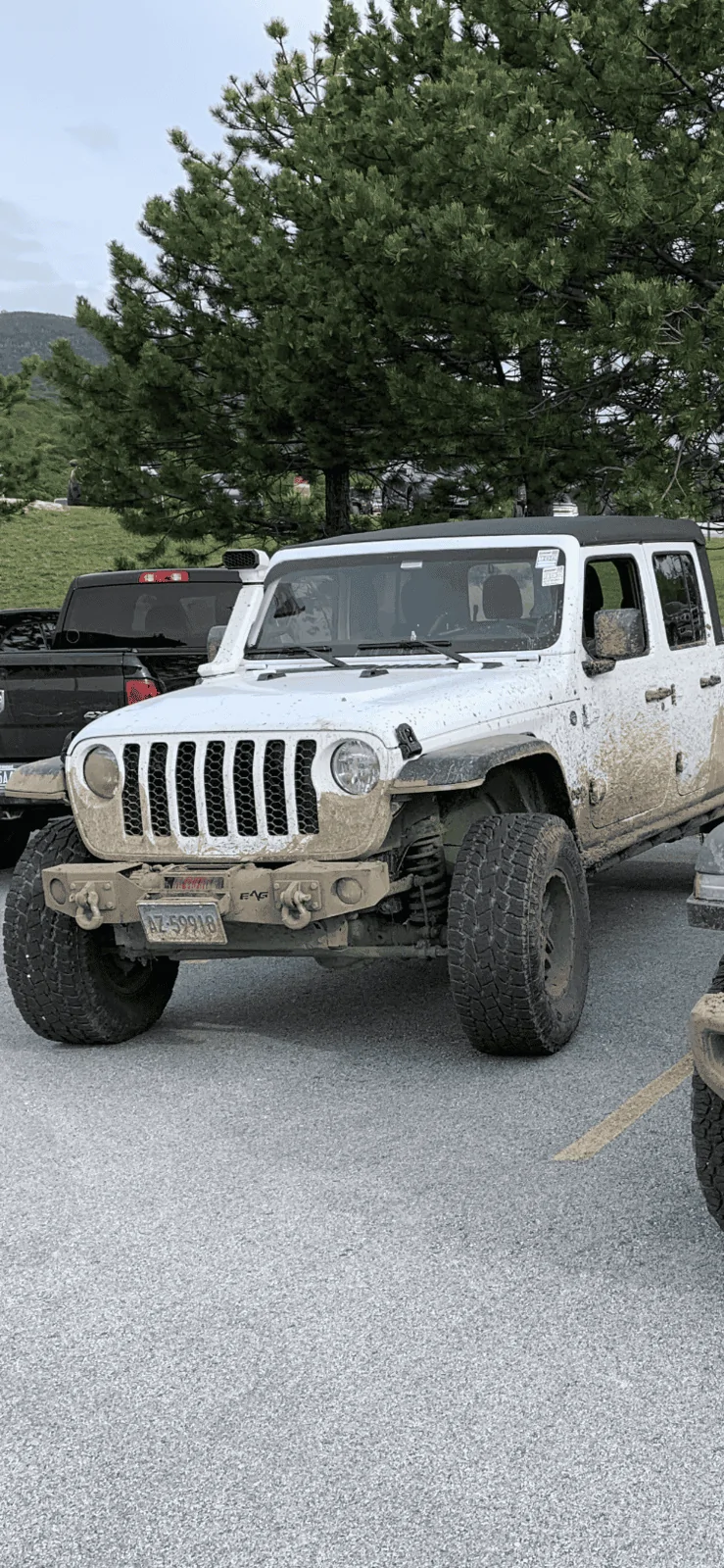 Jeep Gladiator rugged ridge snorkel or CAI 31B41F4E-F772-4B1E-AF4A-DE98DA9DBFF5