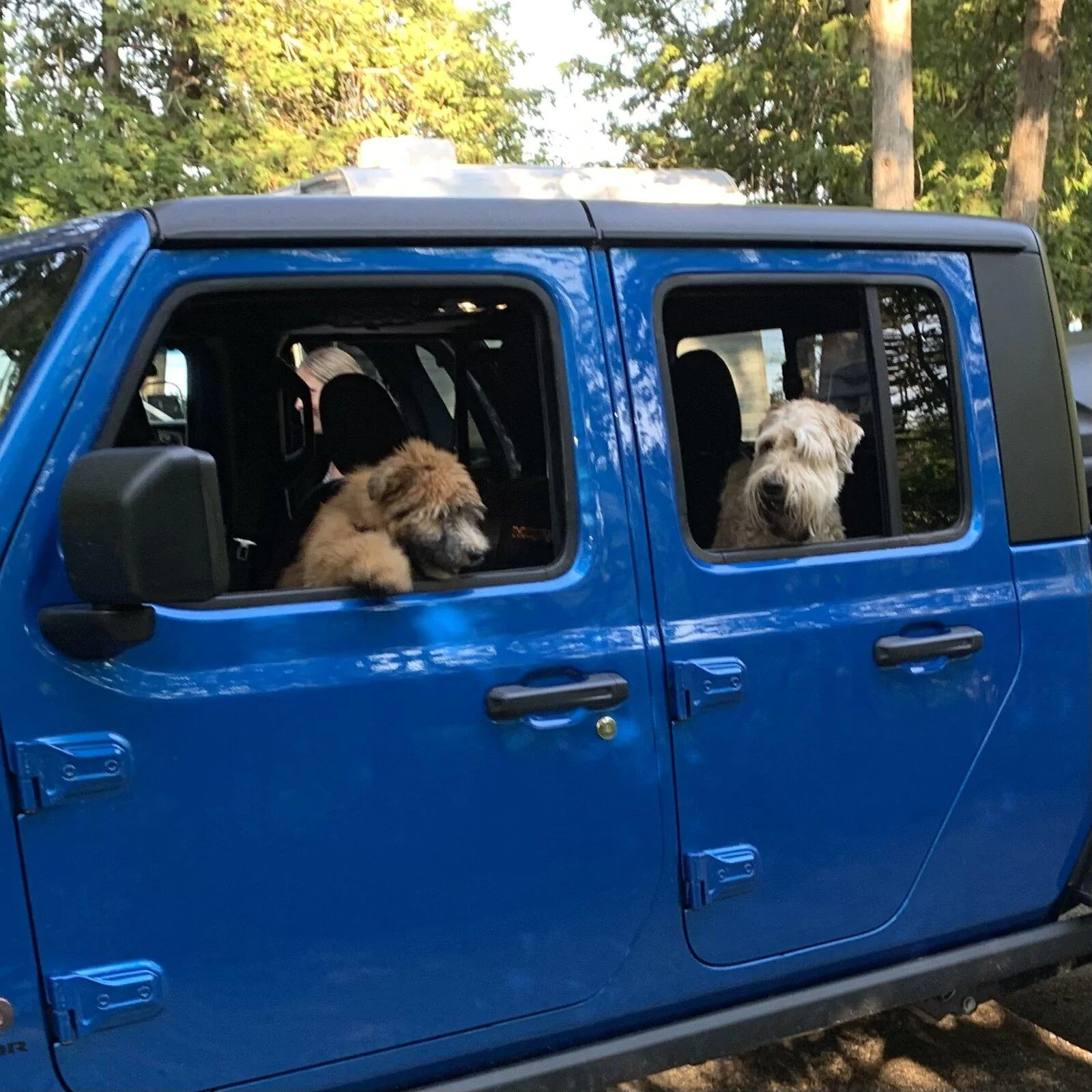 Jeep Gladiator Hydro blue owners. Did you get tan or black interior? 12A866A6-CD2F-43FB-84A7-21C4AD1A255A