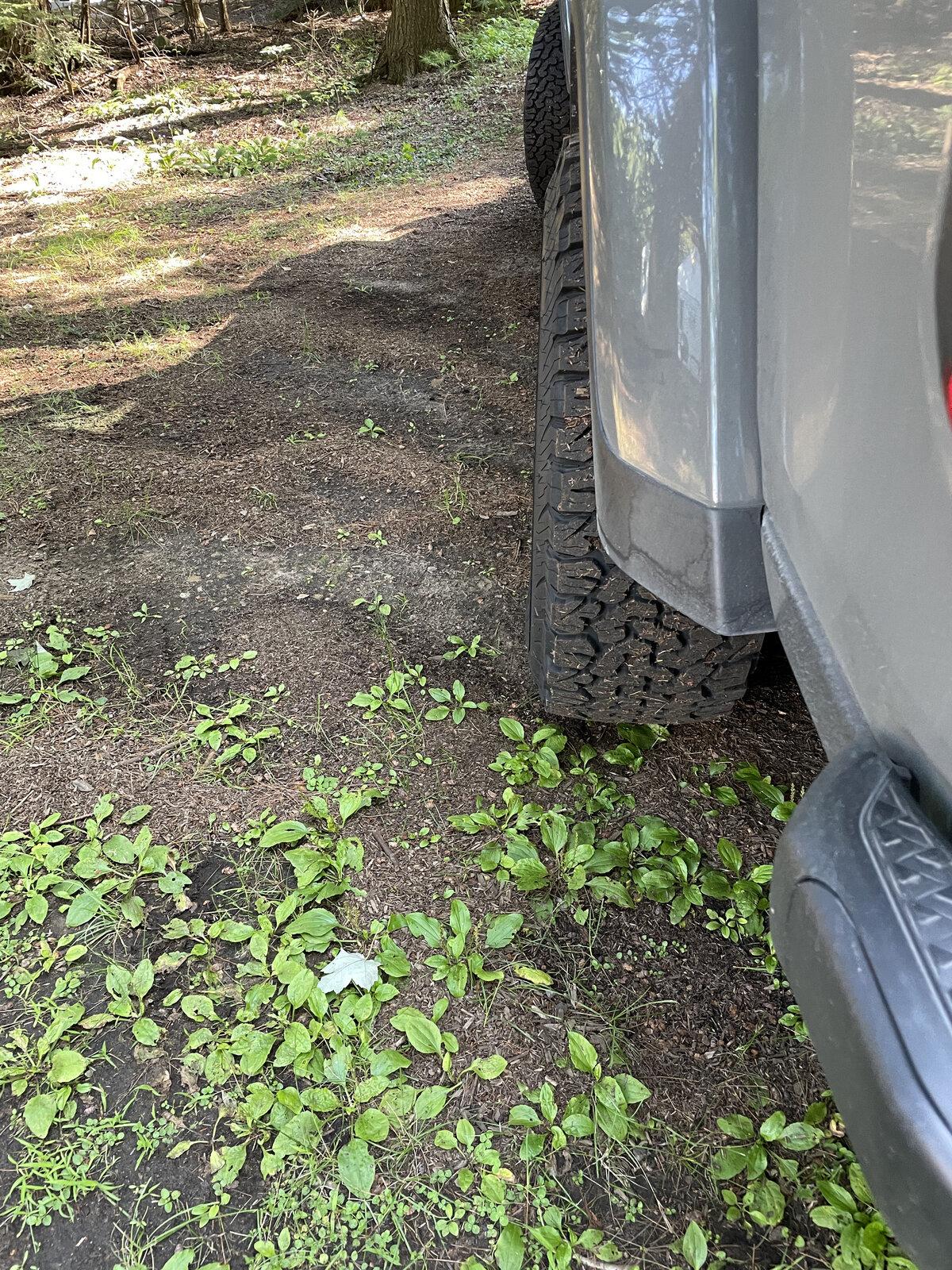 Jeep Gladiator Plus(+) 12mm or Minus(-) 12mm Offset for No-Rub IMG_3287