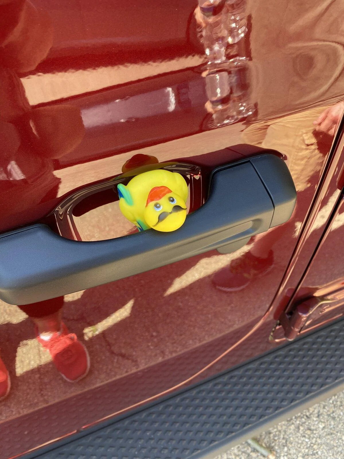 Jeep Gladiator Get a duck yet? 5254D613-DA2B-4BA7-8DDC-8FA54929FA1D