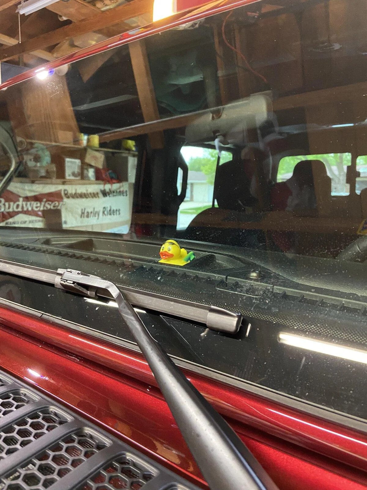 Jeep Gladiator Get a duck yet? CA5908E3-FABF-4285-9CF6-73855F82BE1D