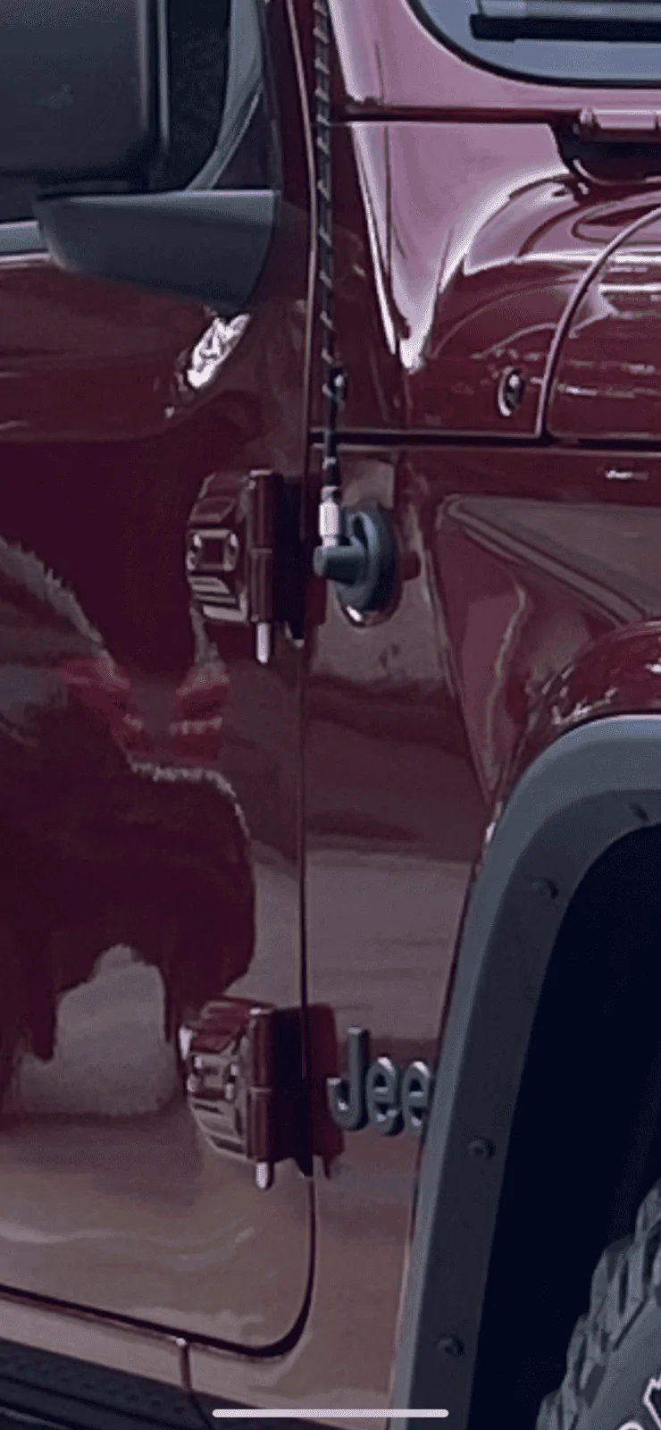 Jeep Gladiator What did you do TO your Gladiator today? [ADMIN WARNING: NO POLITICS, NO GUN TALK] CD11A1FB-E0E9-49AF-82F6-E37E88E7388C