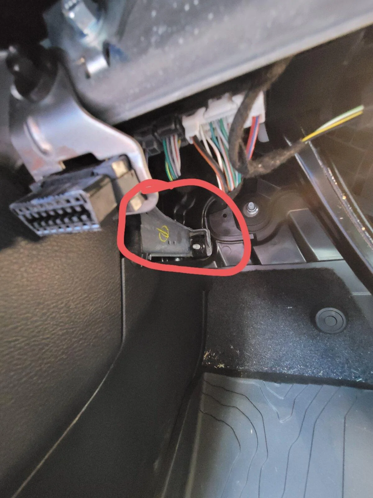 Jeep Gladiator What did you do TO your Gladiator today? [ADMIN WARNING: NO POLITICS, NO GUN TALK] 20210810_154435