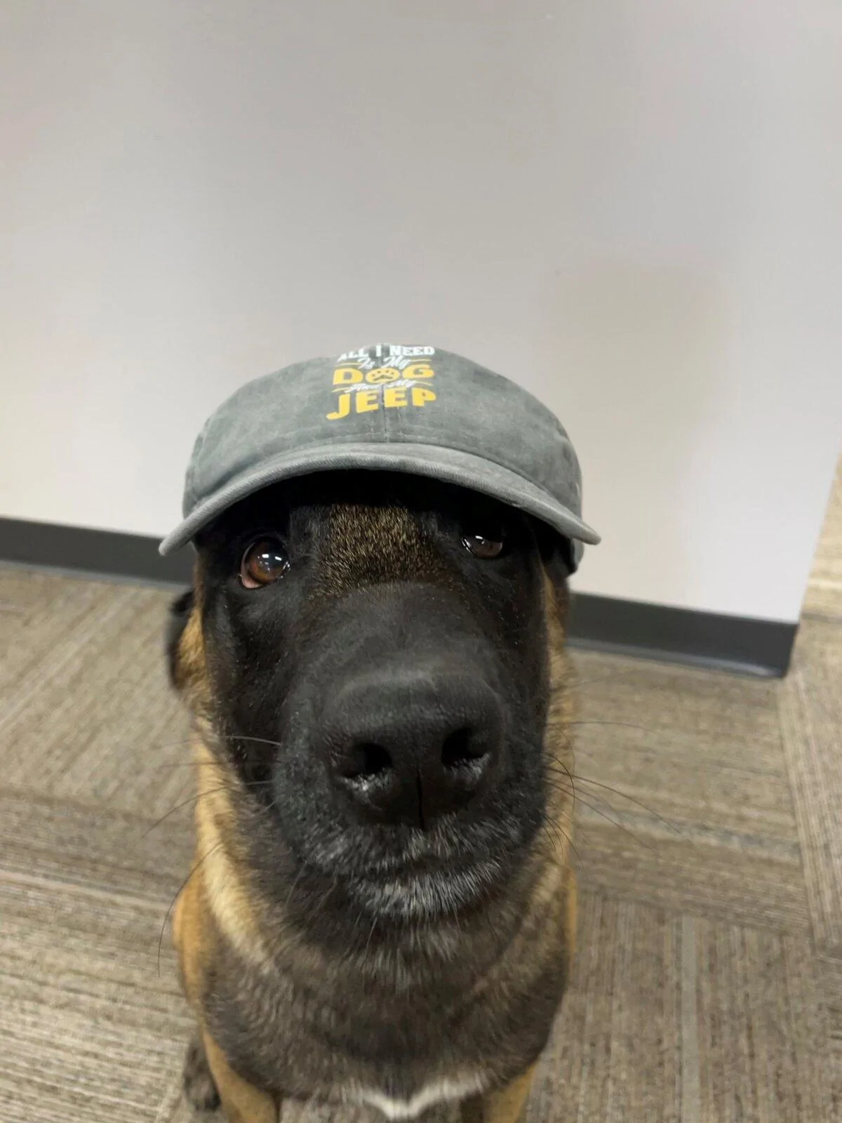 Jeep Gladiator Hats ! Solo Hat