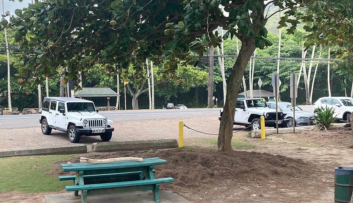 Jeep Gladiator Jeeps Parking Next To Jeeps rent2a