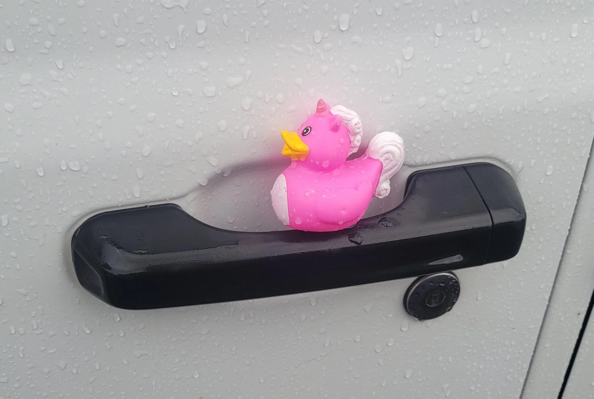 Jeep Gladiator Get a duck yet? 20210818_180634