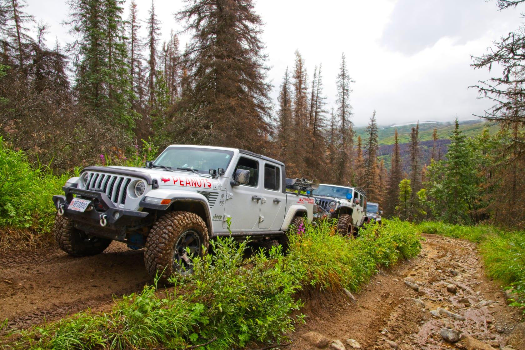 Jeep Gladiator Where did you WHEEL your Gladiator today? Upper Purches 1
