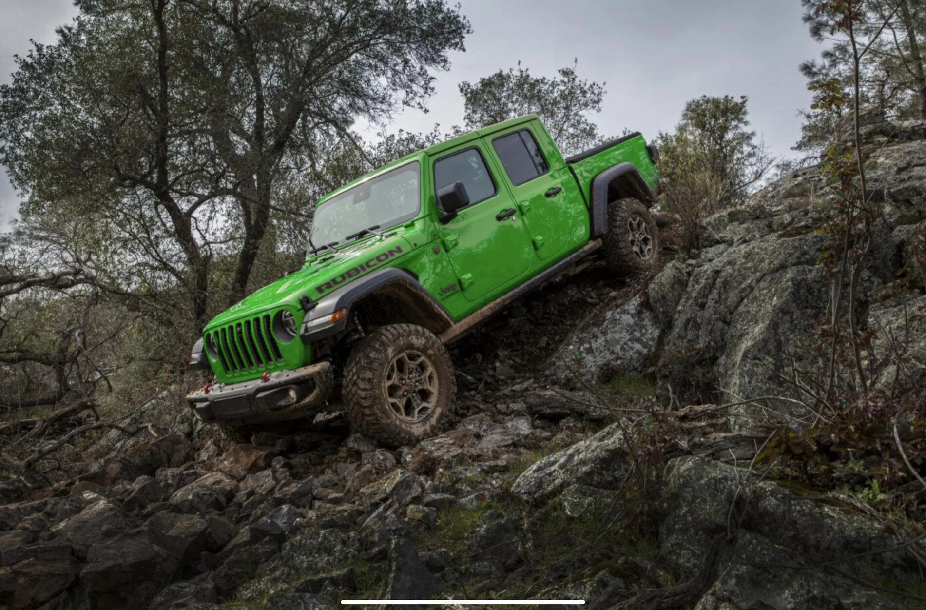 Jeep Gladiator GECKO GREEN Gladiator Club AF8338A9-DA73-4A2E-B088-AA44AB86F7A3