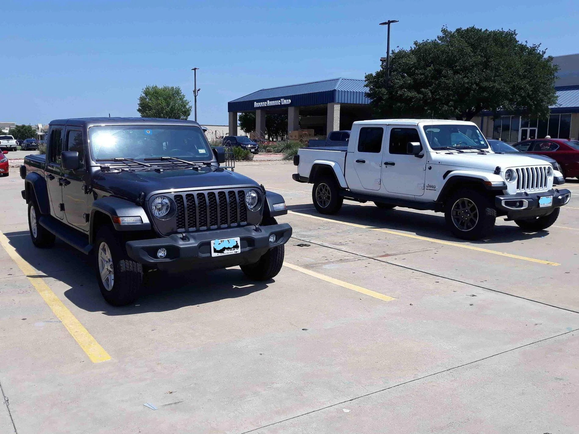 Jeep Gladiator Jeeps Parking Next To Jeeps 20210820_123837a