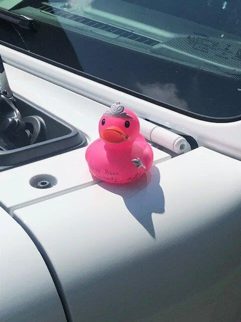 Jeep Gladiator Got Ducked! Duck