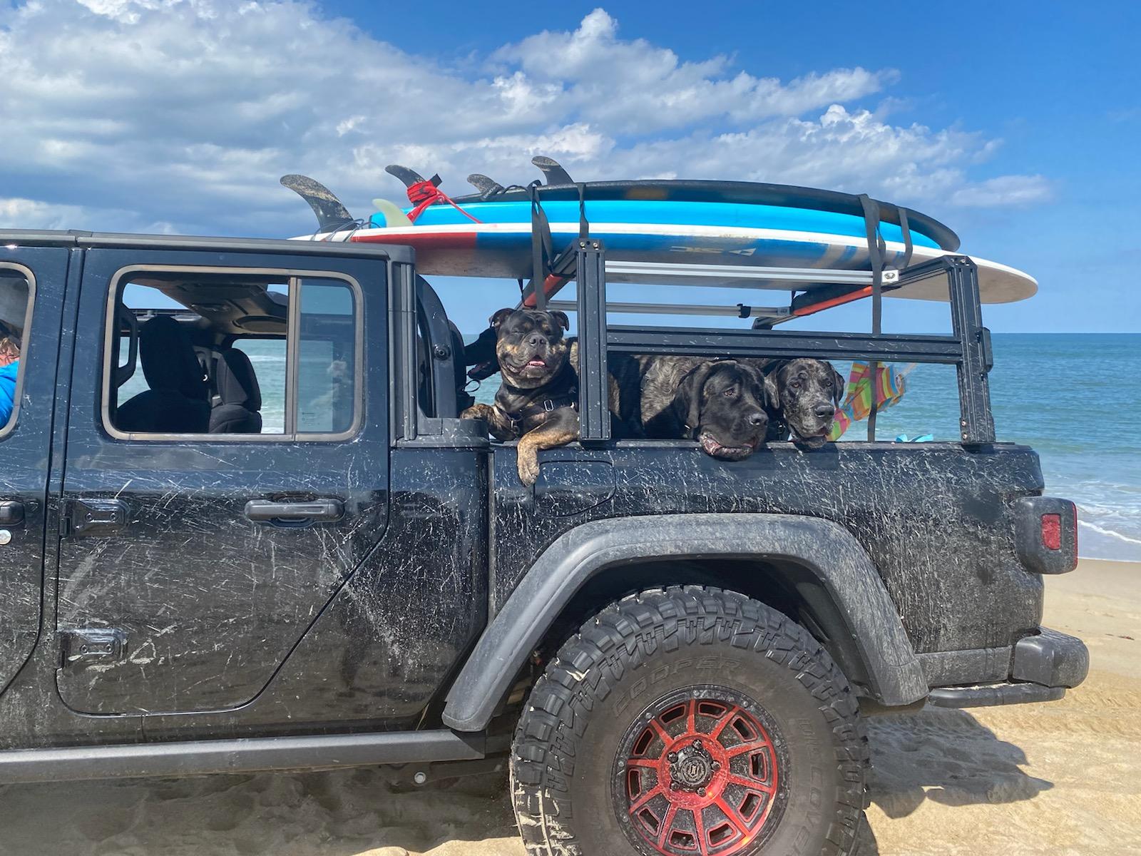 Jeep Gladiator Mastiff and My Gladiator IMG_7875(1)