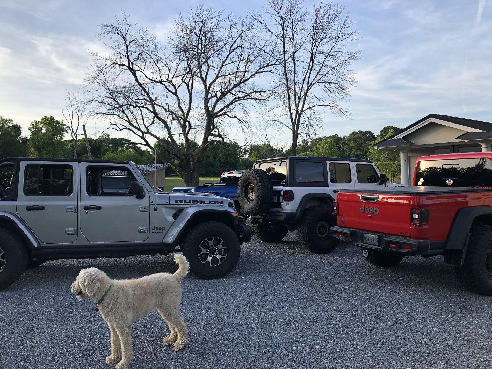 Jeep Gladiator DragonFly Build D21B87BD-3944-454F-8B52-09A3318D6785