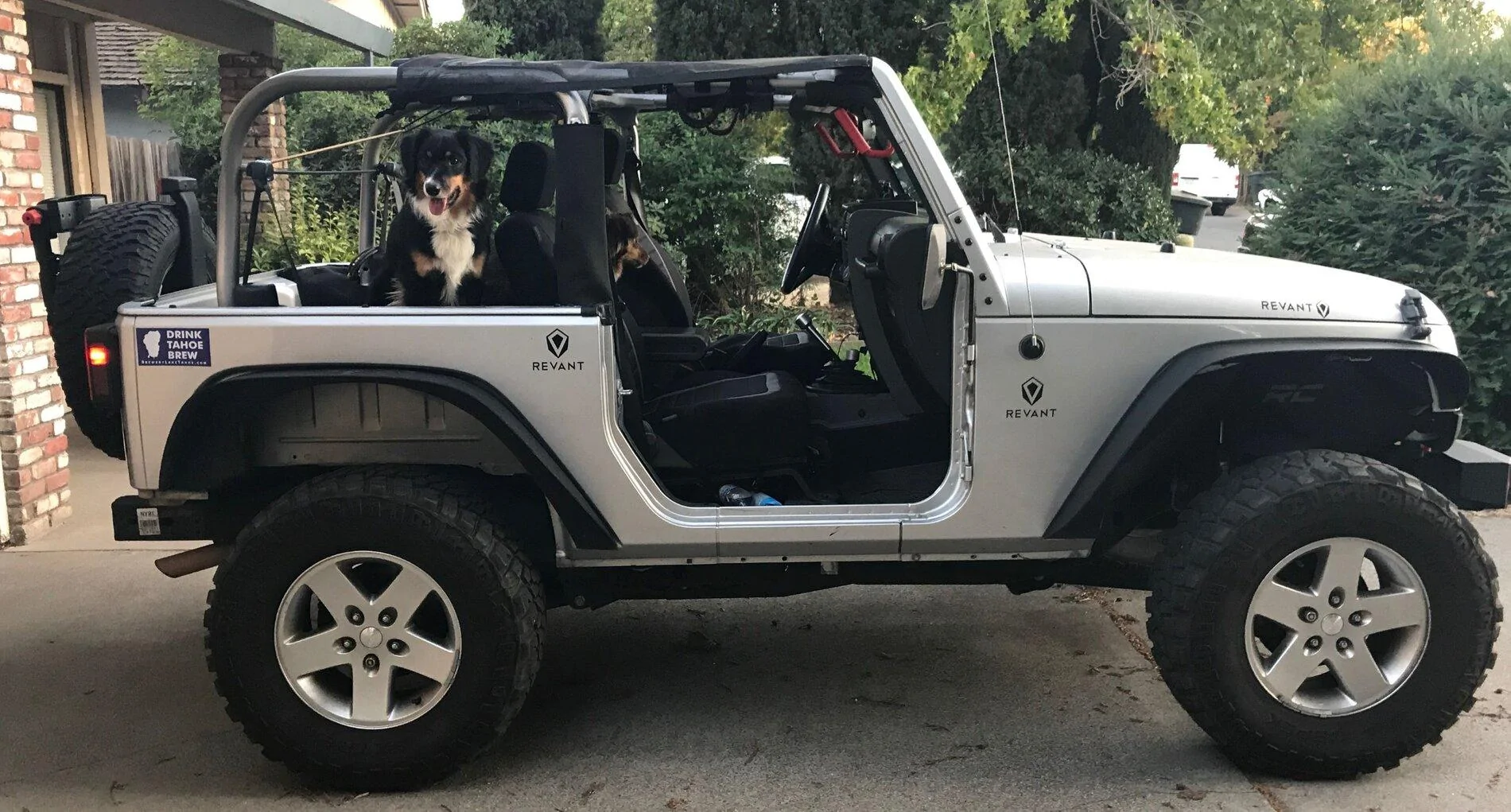Jeep Gladiator Joined the Gladiator cracked window club Zeus in JK Smaller