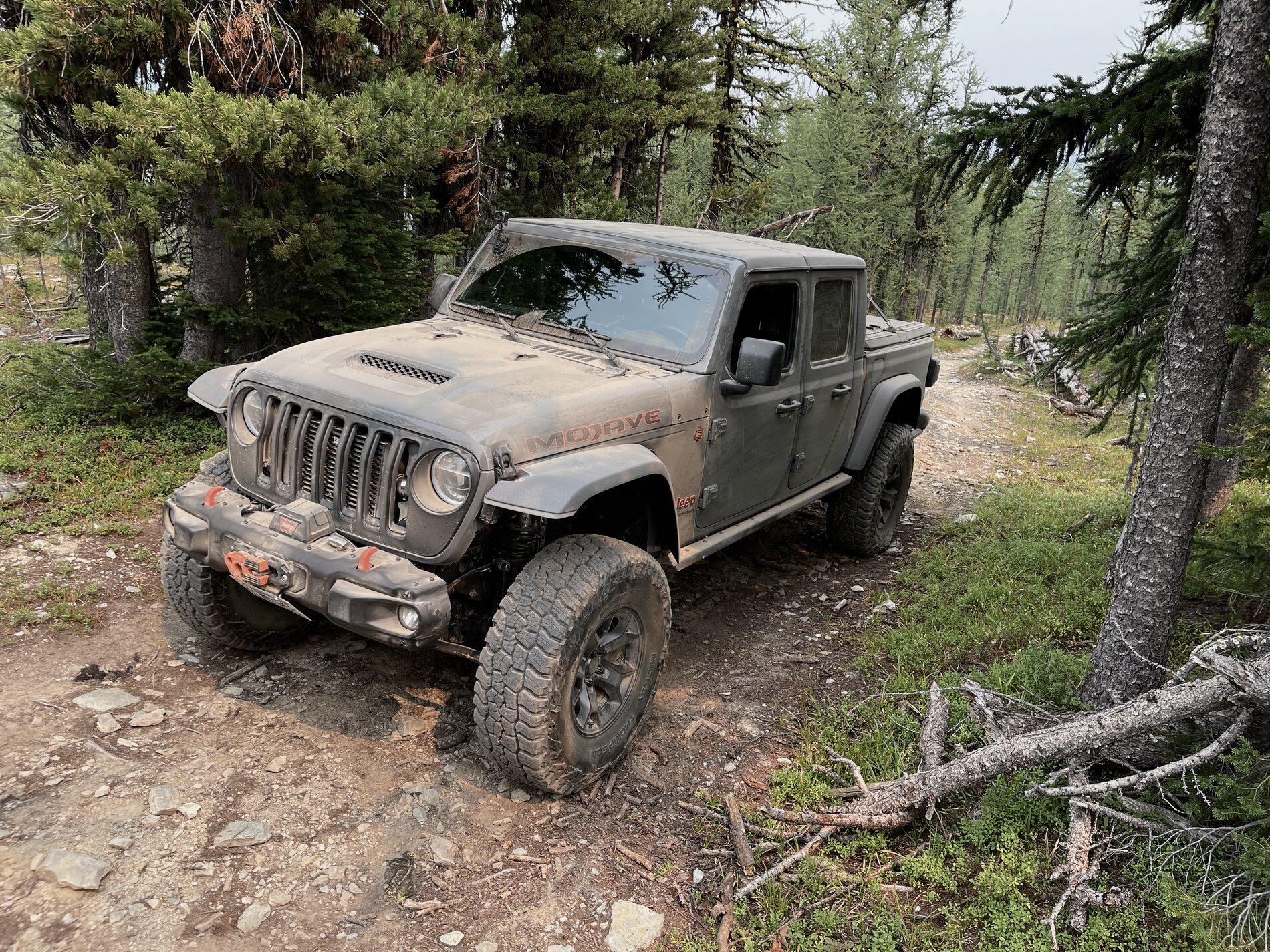 Jeep Gladiator Let's see those Mojave's and Mods 33B6F8DF-7683-464D-8D85-D8A746C7EFFE