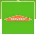 Jeep Gladiator GECKO GREEN Gladiator Club ServePro