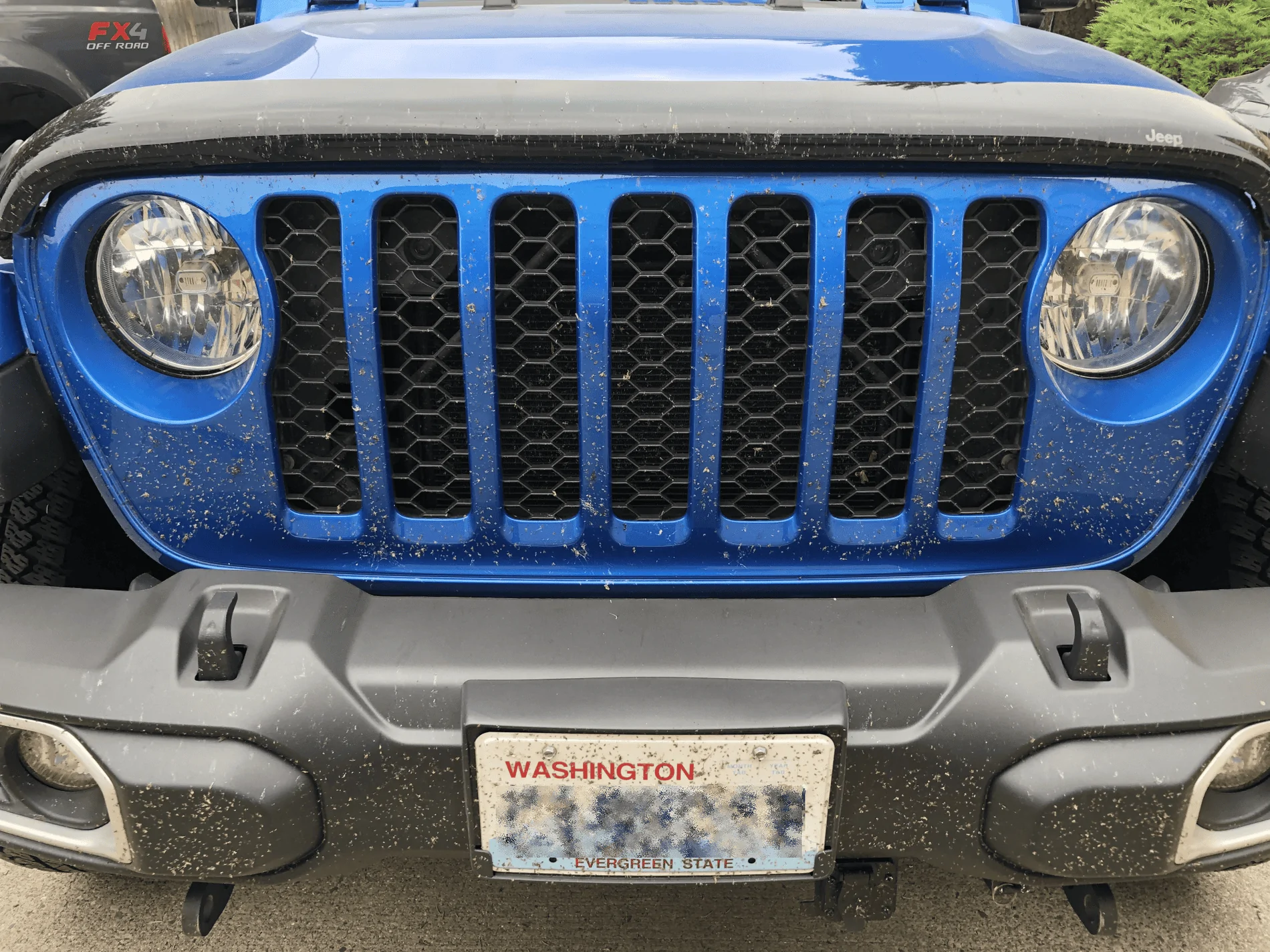 Jeep Gladiator What did you do WITH your Gladiator today? Bugs
