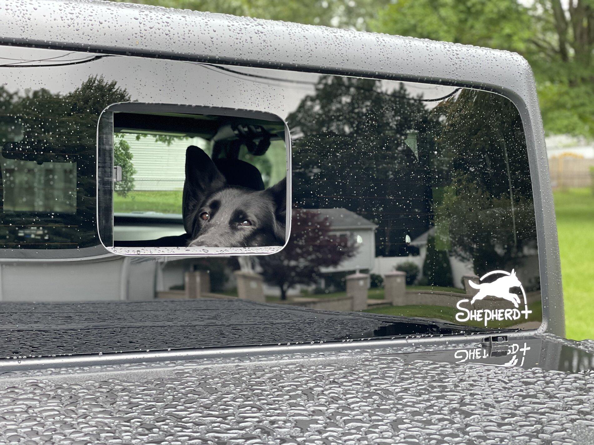 Jeep Gladiator Has anyone "doggified" their entire rear section? 95888B26-E109-48E2-8667-1CA0B41C468D