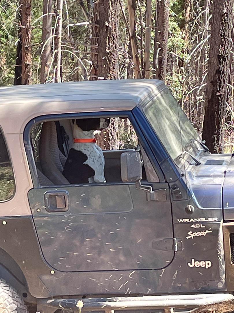 Jeep Gladiator Lake County & Mendocino National Forest Trips IMG_1849
