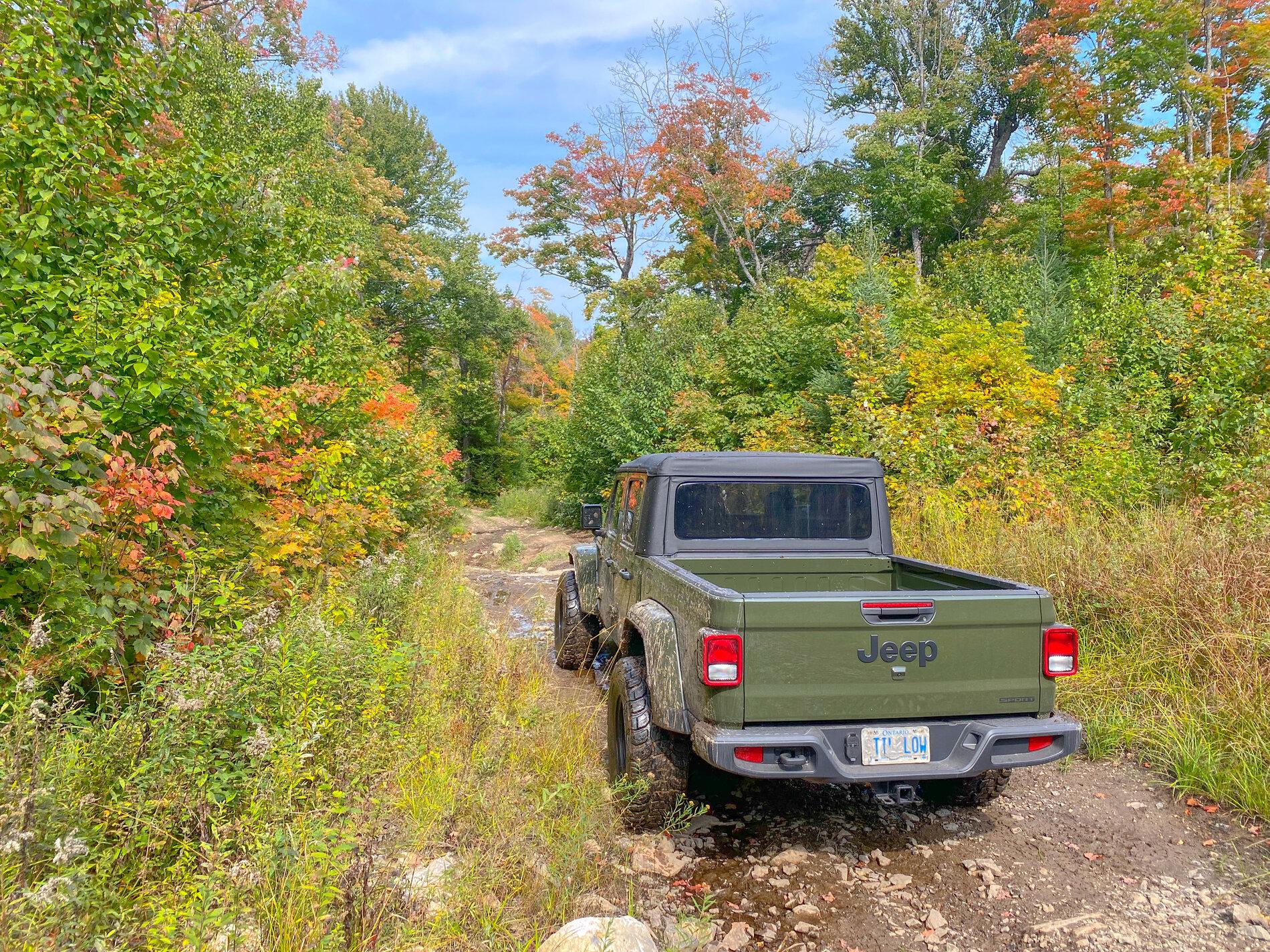 Jeep Gladiator What did you do WITH your Gladiator today? 323D69E4-B654-43BB-8B56-0F56B9657385
