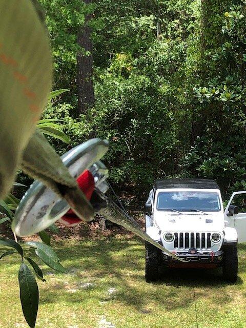 Jeep Gladiator What did you WINCH with your Gladiator today? IMG_1889