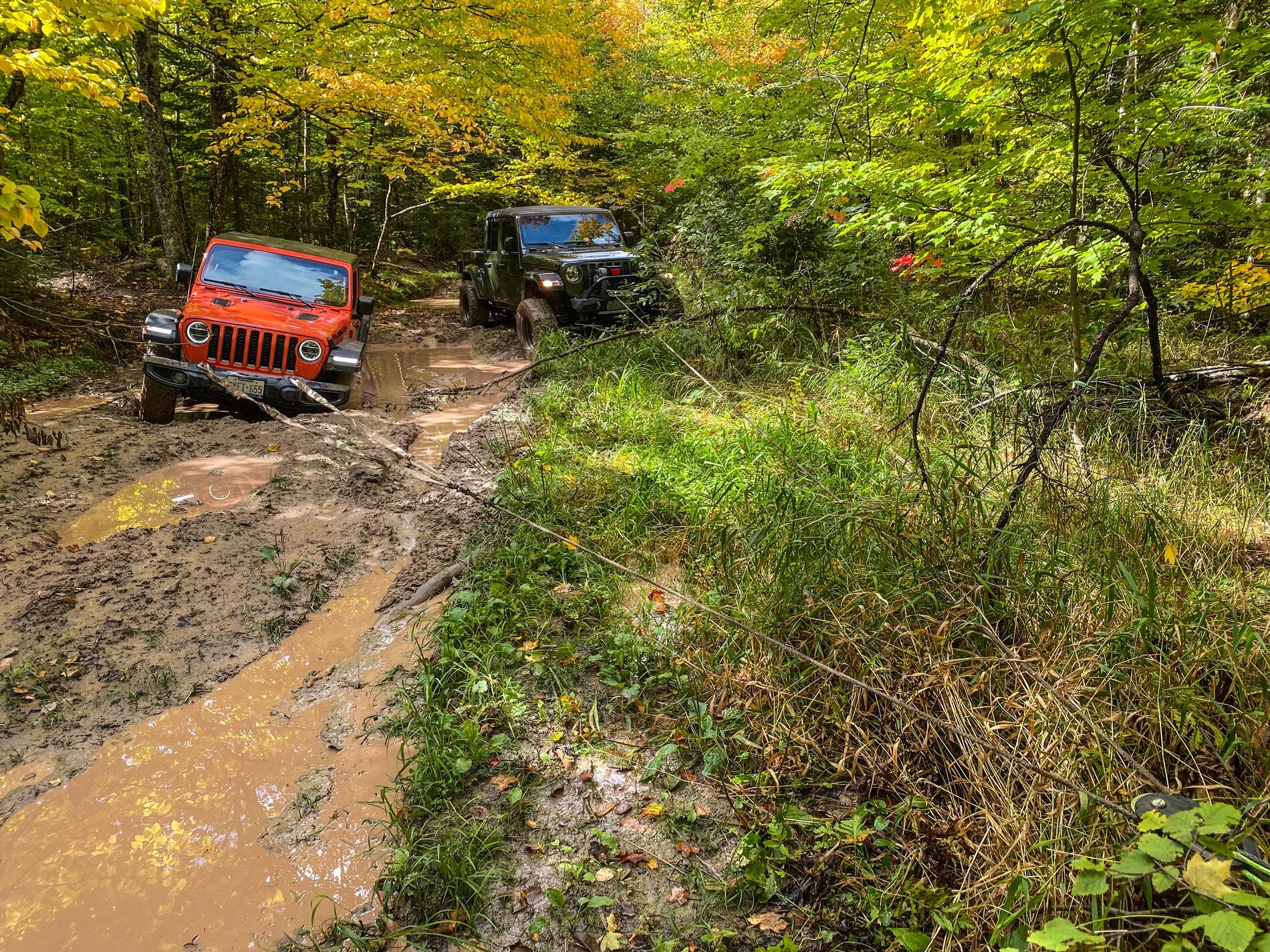 Jeep Gladiator What did you do WITH your Gladiator today? 046221BF-87A8-4B84-9AE5-D73BF5857F3E