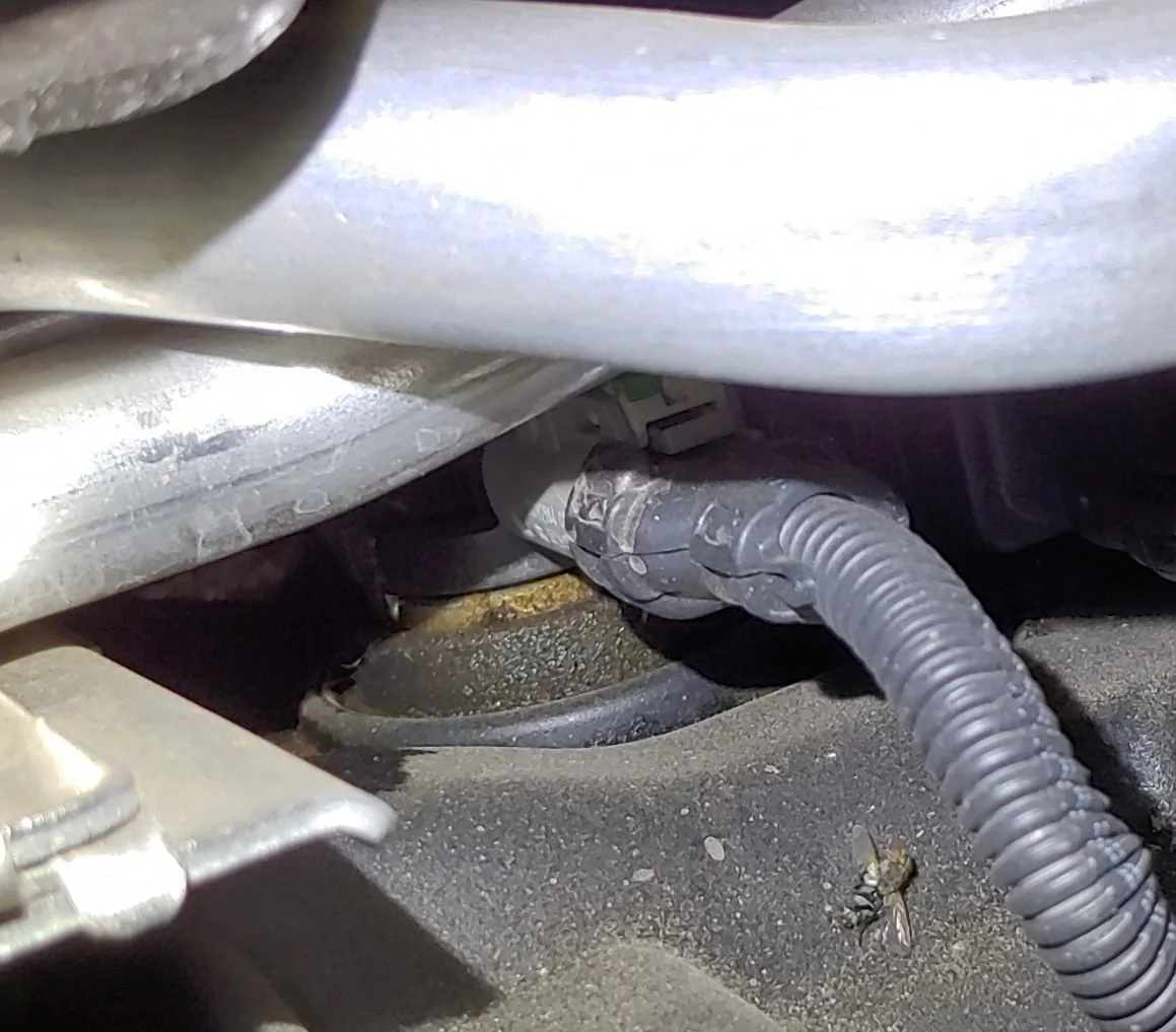 Jeep Gladiator (SOLVED) Oil Leak Around Ignition Coils 20210928_181154_HDR_2
