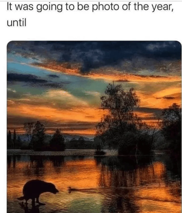 E5291C66-1813-47A9-B4FE-EC186F58DC98.png