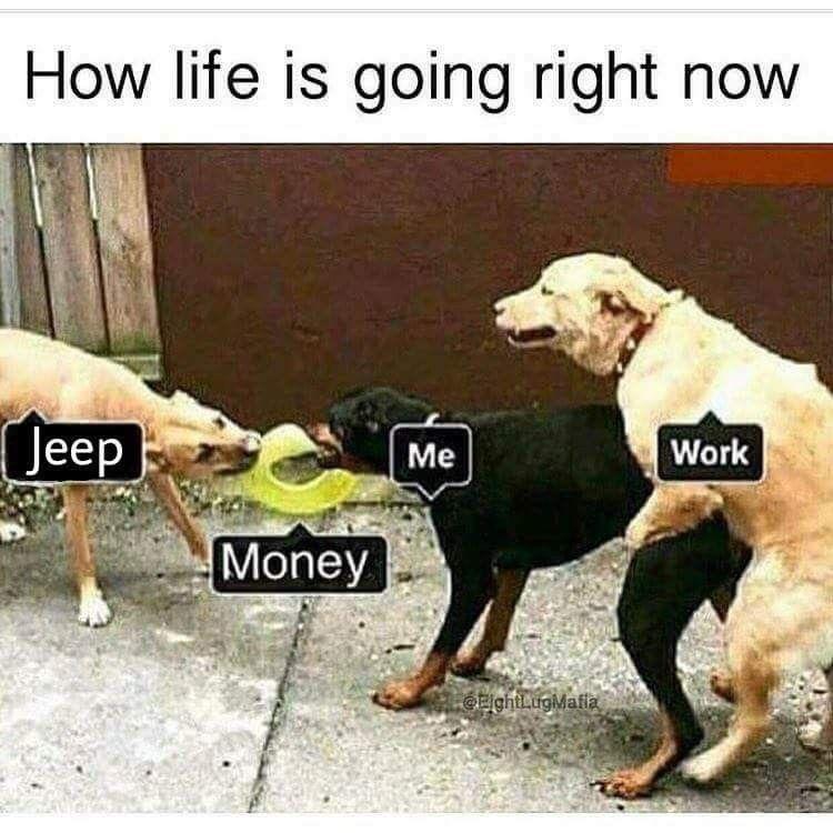 Jeep Gladiator Jeep Humor Waiting Room 2018-08-11_07-48-40_910